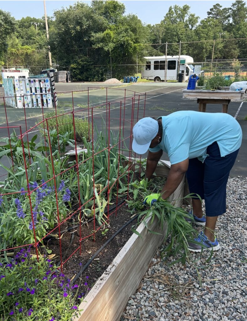 united way community gardens