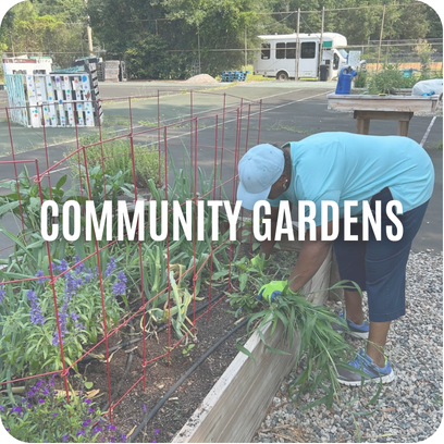 Person tending plants in a community garden bed, with COMMUNITY GARDENS text overlay.